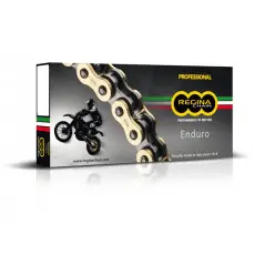 Regina Kette ZRE Z-Ring 520 Preisreduziert