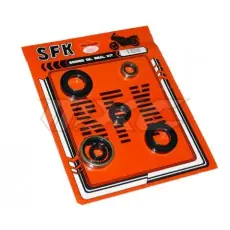 SFK Engine Oil Seal Kit Nur Für Kurze Zeit