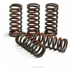 Pro Circuit Kupplungsfedern Billig