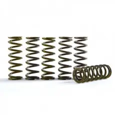 Top-Angebot Hinson Clutch Springs for BTL (Slipper Clutch)