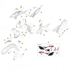 Beta RR300 14 Verkleidung-Sitzbank-Tank 2 Neue Kollektion