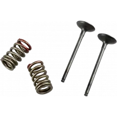 Saisonangebot Prox VALVE EX/SPRING KXF250 04-16/ RMZ250 04-06
