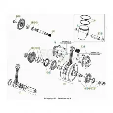 Super-Preis Beta RR300 22 Kurbelwelle/Kolben/Ausgleichswelle