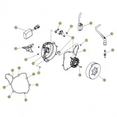 Direkt Vom Hersteller Beta EVO300 Factory 4T 17 Zündanlage