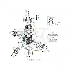 Neu Im Sortiment Beta RR250RC 26 Zylinder/Zylinderkopf/Ventiltrieb