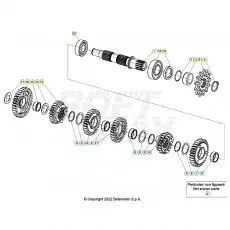 Beta RR200RC 26 Getriebe 2 Gratis Versand