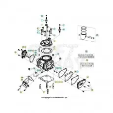 Beta RR300RC 26 Zylinder/Zylinderkopf/Ventiltrieb Kostenloser Versand