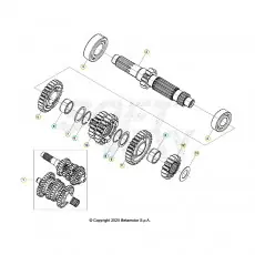 Beta RR300 26 Getriebe 1 Heißes Angebot