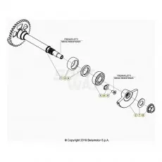 Neu Im Sortiment Beta RR350 26 Kurbelwelle/Kolben/Ausgleichswelle 1