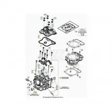 Begrenztes Angebot Beta RR350 26 Zylinder/Zylinderkopf/Ventiltrieb 1