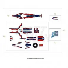 BetaEVO250 Factory 24 Verkleidung/Sitzbank/Tank 2 Expressversand