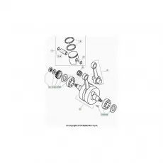 Beta EVO80 Senior 22 Kurbelwelle/Kolben/Ausgleichswelle Jetzt Bestellen