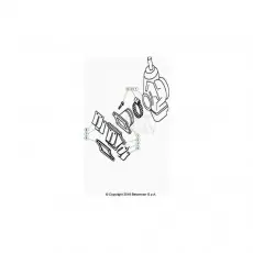 Beta EVO80 Senior 24 Vergaser Kracherpreis