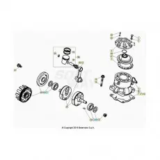 Gratis Versand BetaEVO250 Factory 24 Kurbelwelle/Kolben/Ausgleichswelle