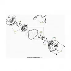 Abverkauf BetaEVO250 Factory 24 Zündanlage