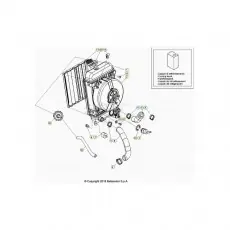 Top-Seller Beta EVO300 4T 24 Kühlsystem