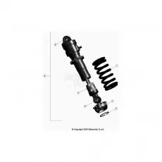 Meistverkauft Beta EVO300 Factory 4T 22 Schwingarm/Federbein 2