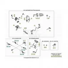 Beta EVO300 Factory 4T 22 Kabelstrang Abverkauf