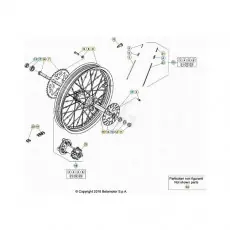 Beta EVO300 Factory 4T 22 Hinterrad Aktuell