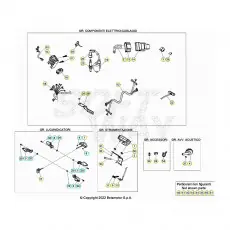 Beta EVO300 Factory 4T 23 Kabelstrang Must-Have