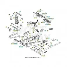 Echt Beta EVO200 25 Schwingarm/Federbein 1