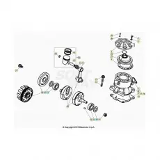 Beta EVO250 24 Kurbelwelle/Kolben/Ausgleichswelle Schneller Versand