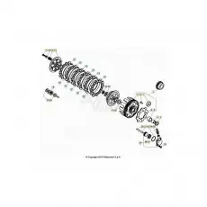 Beta EVO250 24 Primärtrieb/Kupplung Sichere Zahlung