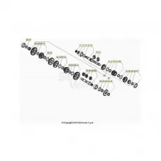 Sofort Bestellen Beta EVO300 2T 24 Getriebe