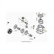 Top-Seller Beta EVO300 2T 25 Kurbelwelle/Kolben/Ausgleichswelle