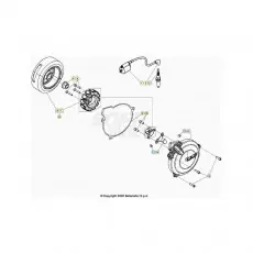 Beta EVO300 2T 25 Zündanlage Markenprodukt