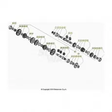 Beta EVO300 SS 24 Getriebe Knallerangebot