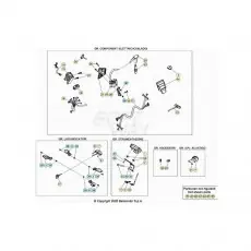 Beta EVO300 SS 24 Kabelstrang Jetzt Bestellen