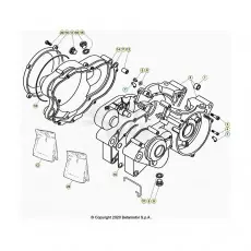 Beta EVO300 SS 25 Motorgehäuse Sale