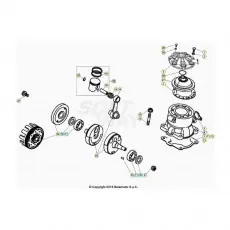 Beta EVO300 SS 25 Kurbelwelle/Kolben/Ausgleichswelle Direkt Vom Hersteller