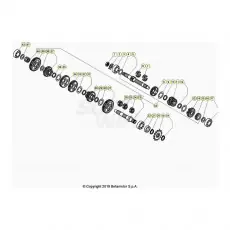 BetaEVO125 Factory 24 Getriebe Bestseller