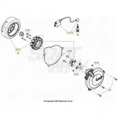 Sonderaktion Beta EVO200 Factory 24 Zündanlage