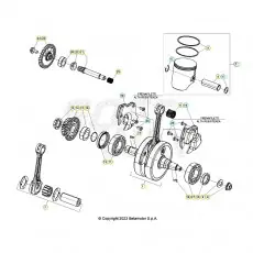 Beta RR300 24 Kurbelwelle/Kolben/Ausgleichswelle Knallerangebot