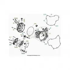 Echt Beta RR125RC 25 Motorgehäuse 2