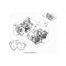 Direkt Vom Hersteller Beta RR250RC 24 Motorgehäuse 1