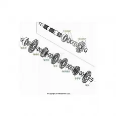 Beta RR300RC 25 Getriebe 2 Preisknaller