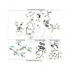 Beta RR250RC 24 Kabelstrang Neuheit