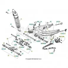 Expressversand Beta RR250RC 25 Schwingarm/Federbein 2