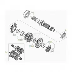 Beta Xtrainer250 24 Getriebe 1 Top-Seller