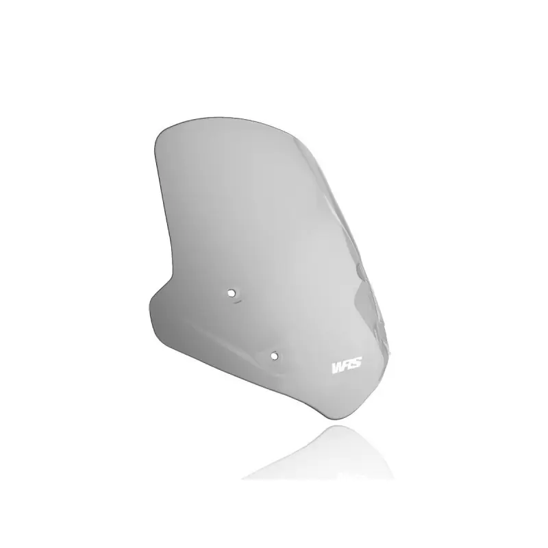 Must-Have WRS - WSCRN STNDRD R1250R RAUCH