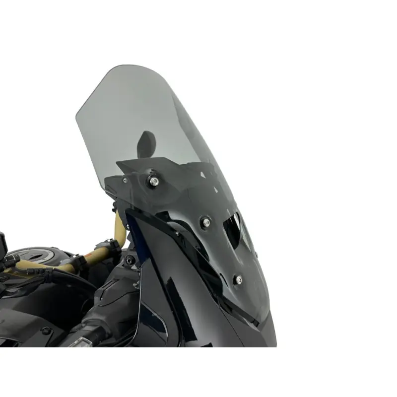 WRS - SCHEIBE TOURING CRF1100L AF Expressversand