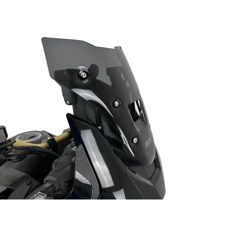 WRS - SCHEIBE SPORT CRF1100L AFRI Sofort Bestellen