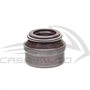 Ventilschaft Dichtung TM 703 / Classic / Calessino Diesel Mega-Angebot