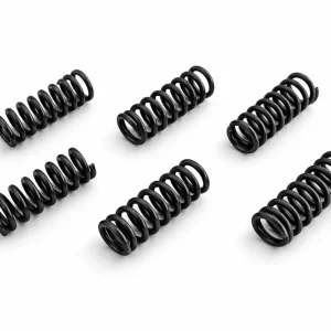 6 x Feder für Kupplung Sachs 50 2/3/4 Gang Finale Aktion