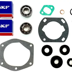 Must-Have 2 SKF Lager Dichtungen Dichtsatz Simmerringe O-Ring