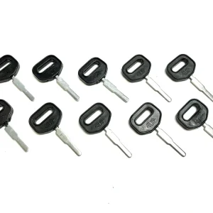 Super-Preis 10er Pack Zündschlüssel mit Loch / Standard